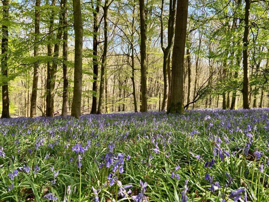 The Mill Stylish Rural Apartment With Beautiful Views Welsh Newton Common Bagian luar foto