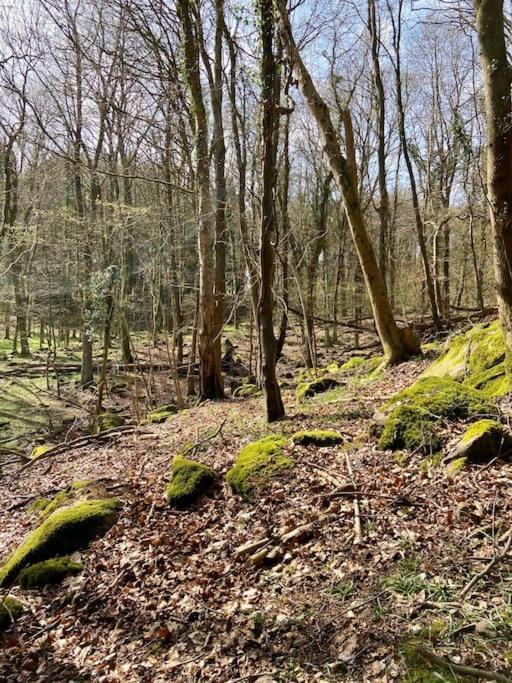 The Mill Stylish Rural Apartment With Beautiful Views Welsh Newton Common Bagian luar foto